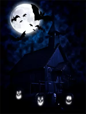 我重生成了北极熊