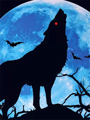 未若故人姝中姝是什么意思