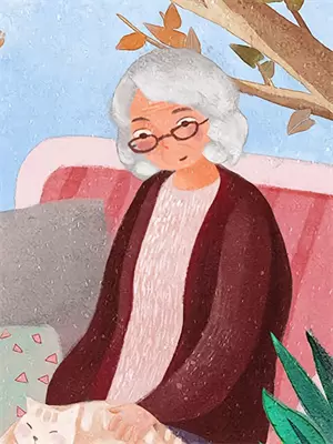 夫人纳妾小说