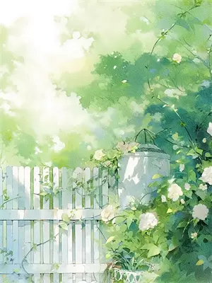 看荒漠