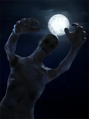星河之上顶点小说